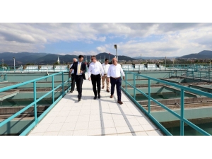 Başkan Büyükakın: “Suyun Tüm Kaynaklarını Koruyoruz”