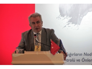 Türkiye’ye Güneydeki Ülkelerden Giriş Yapan Hastalıkla Mücadele Sürüyor