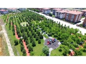 Tepebaşı Yeşile Bürünüyor