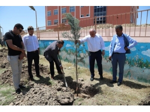 Tekirdağ’da 125 Çam Fidanını Toprakla Buluşturdular