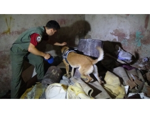 Dev Operasyonda Tutuklu Sayısı 40 Oldu