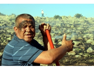 Tarla Yangınında Çiftçilerin 2 Yıllık Emeği Kül Oldu