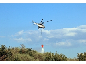 Antalya’da Orman Yangını