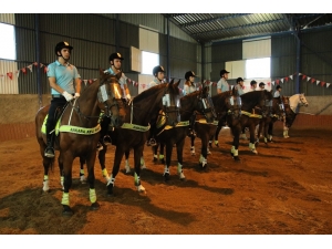 Atlı Birlik Kapılarını İha’ya Açtı