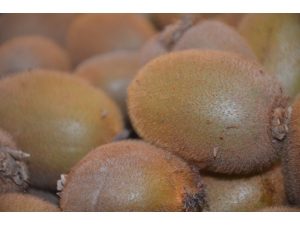 Haziran Ayının Zam Şampiyonu Kivi Oldu