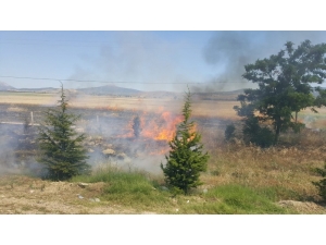 Isparta’da Arazi Yangınında Hububat Ekili Alan Yandı