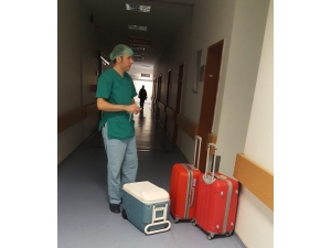Organları 5 Hastaya Umut Oldu