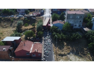 Park Halindeyken Freni Patlayan Tır Evin Duvarına Çaptı: 1 Yaralı