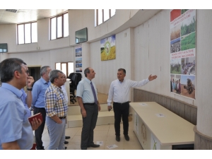 Tarım Ve Orman Bakanlığı Doğal Afetler Daire Başkanı Engürülü’den Hububat Merkezi’ne Ziyaret