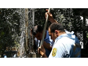 Tarsus’ta Elektrik Direği İçine Sıkışan Kediyi İtfaiye Kurtardı