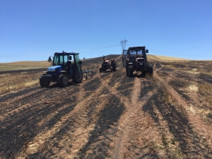 150 Dönümlük Tarladaki Buğday Ve Arpa Kül Oldu