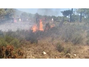 Sultanbeyli’deki Orman Yangını Kontrol Altına Alındı