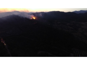 İzmir’deki Orman Yangınını Söndürme Çalışmaları Sürüyor