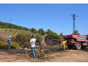Cunda Adası’nda Korkutan Yangın