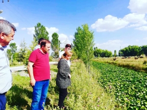 Altıntaş’ta Nilüfer Deresi Turizme Kazandırılıyor