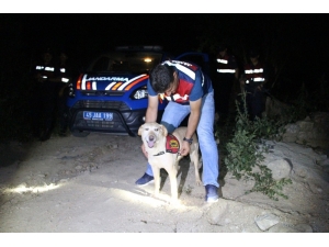 Babasıyla Tartışıp Tarlayı Terk Eden Zihinsel Engelli Şahıstan Haber Alınamıyor