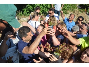 Kuşadası Caferli’de Çiçek Şenliğine Büyük İlgi