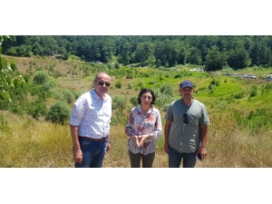 Nilüfer Çiçekleriyle Ünlü Karagöl Yok Edildi