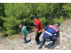 Babanın Aldığı Koku Harekete Geçirdi, Jak Bölgeyi Karış Karış Taradı