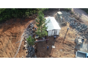 Pendik’te Zabıta Ekipleri Orman Arazilerini Korumakta Kararlı