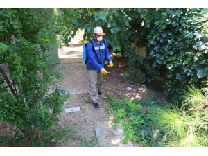 Haliliye’de Haşereyle Mücadele Operasyonu