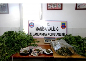 Uyuşturucu Üreten Baba-oğula Jandarma Baskını