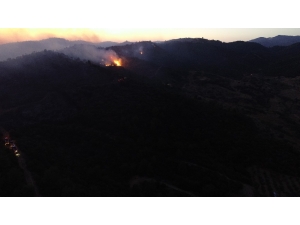 Mangal Keyfi Yaparken Ormanı Yaktıkları İddiası