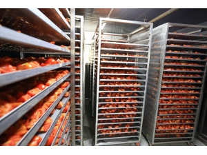 Büyükşehirden Ürünlerin Ömrünü Uzatan Tesis