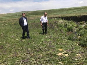 Tarım Ve Orman Müdürü Dr. Bozkale Köyünde İncelemelerde Bulundu