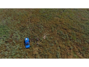 Kayıp Koyunları Jandarma Drone İle Buldu