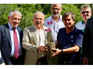 Mesudiye’nin Bitkileri Şifa Kaynağı