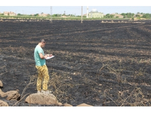 Anız Yangınları Toprağın Dokusunu Bozuyor