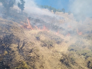 Orman Yangını Söndürüldü