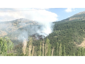 Afyonkarahisar’da Orman Yangını