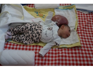 Sağlık Bakanı Koca’dan ‘Elif’ Bebek Açıklaması