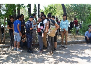 Ayvalık’ta 51 Afgan Mülteci Yakalandı