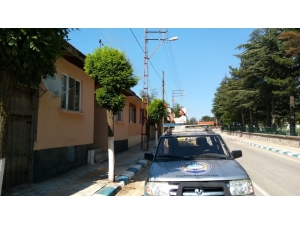 Pazaryeri’nde Ağaçlar İlaçlanıyor