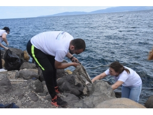 Kumkaya’ya Çevre Timi Eli Değdi