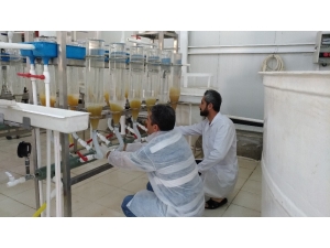 Dap Destekleri Meyvesini Veriyor