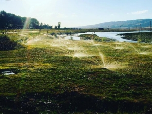 Gürpınar’da Parklar Güzelleşiyor