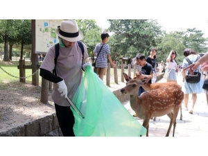 Geyiklerin Ölüm Nedeni: “Plastik Atıklar”