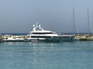 Köpeği Ölen Ünlü Şarkıcı Mavi Turu Yarıda Kesti