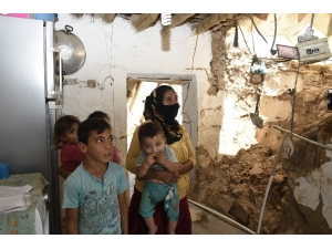 Yılan Ve Akrep Korkusundan Uyuyamıyorlar