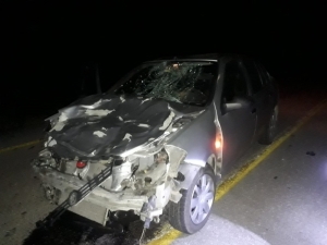 Büyükbaş Hayvana Çarpan Otomobil, Kanala Düştü