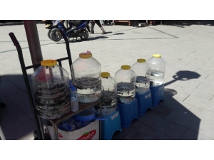 Konya’da Yasa Dışı Sülük Satışına 13 Bin Lira Ceza