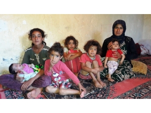 Epilepsi Hastası Aycan Harabe Evde Yardım Eli Bekliyor