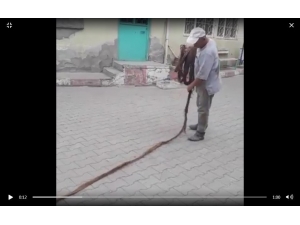 İçme Suyu Borusundan Çıkan 9 Metrelik Ağaç Kökü Şaşırttı