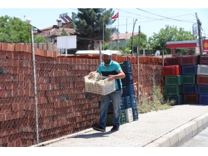 Konsantre Kayısıda Fiyat 90 Kuruş Oldu