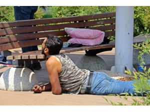 Kimse Öldüğüne İnanamadı