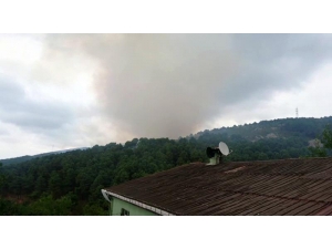 Aydos Ormanlarında Yangın Çıktı. Olay Yerine Çok Sayıda İtfaiye Ekibi Sevk Edildi.